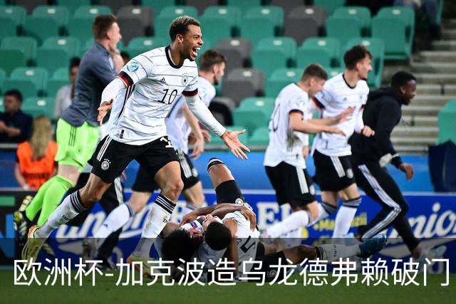 欧洲杯-加克波造乌龙德弗赖破门 荷兰2-1土耳其